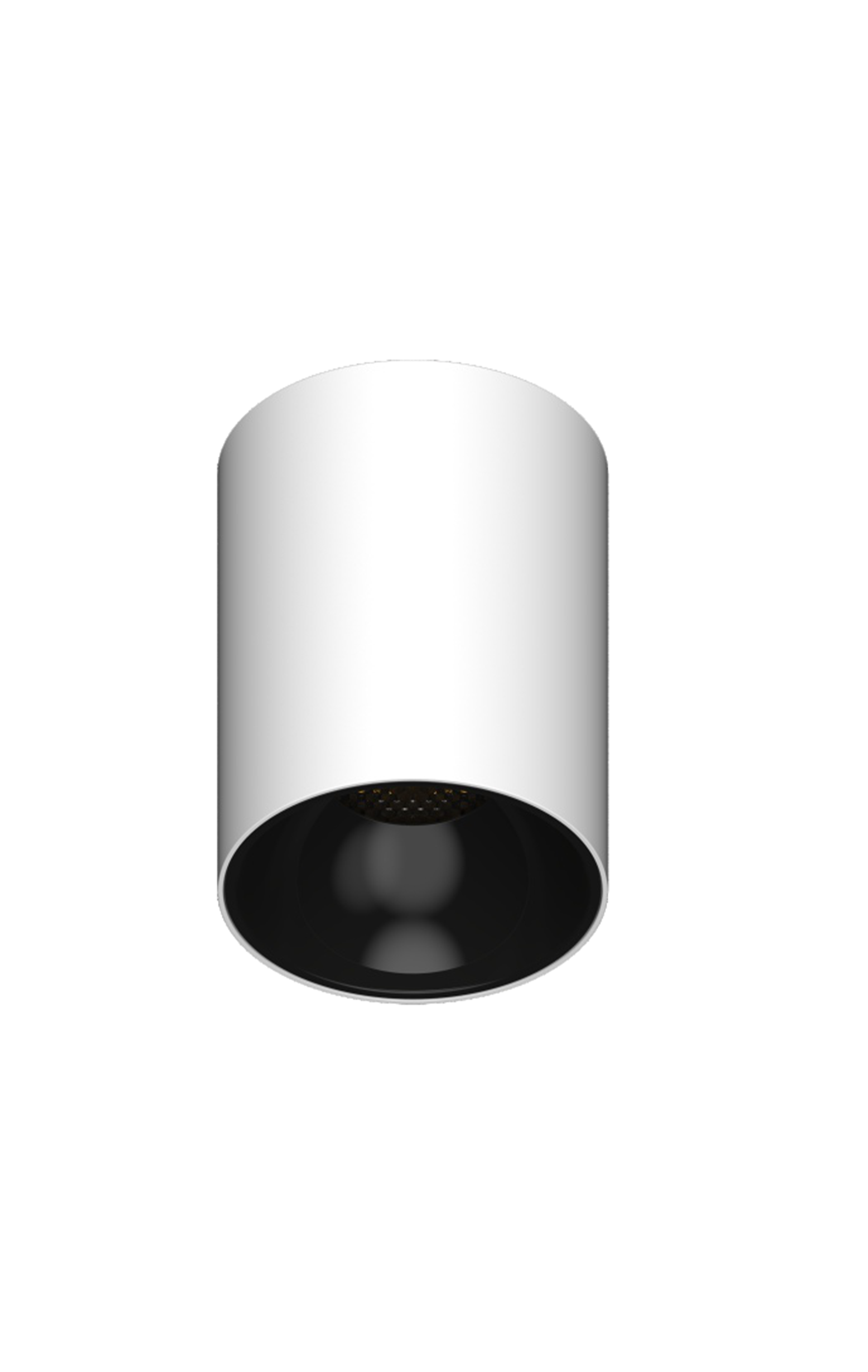 CF Series Surface-Mounted Spotlights